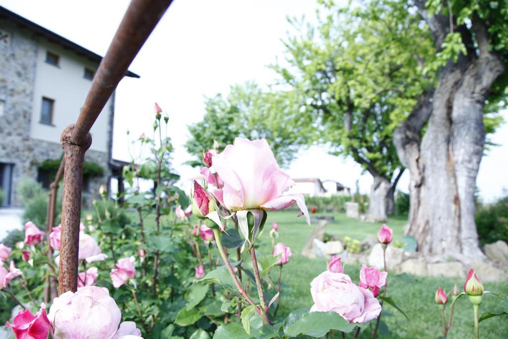 Massoni Bed And Breakfast Πεσκιέρα ντελ Γκάρντα Εξωτερικό φωτογραφία