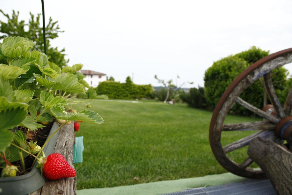 Massoni Bed And Breakfast Πεσκιέρα ντελ Γκάρντα Εξωτερικό φωτογραφία